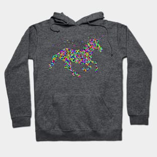 Magical-ish Hoodie